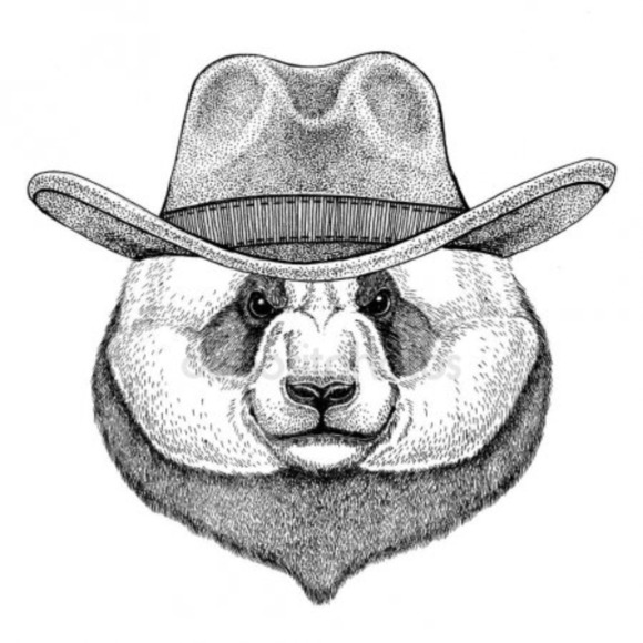 modernbear